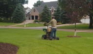 Lawn Maintenance